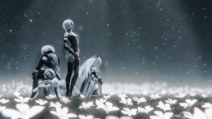 Nier memory card 1